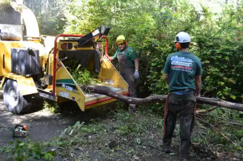 tree services Tell City